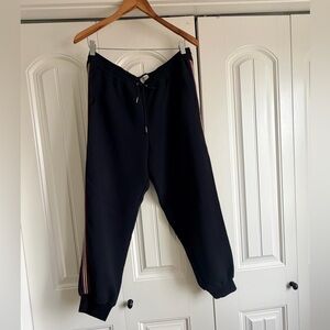 Aritzia Wilfred Buffon Pants